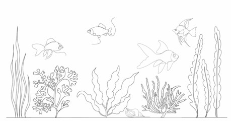 algae and fish, continuous line drawing, sketch, vector