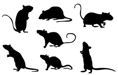 silhouette set of mouse, rat on white background, isolated, vector