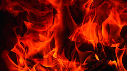 Fire. Fire texture. Burning wood in the fireplace. Close-Up Of Fire In The Dark. Fire flames burning isolated on black background.