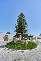 Fototapete bei efototapeten.de bestellen   