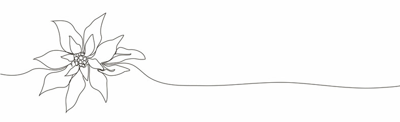 Continuous one line drawing. Concept  holiday, poinsettia flower isolated on white background. hand-drawn,  close-up. modern design. for print, banner, card, paper, poster. vector illustration