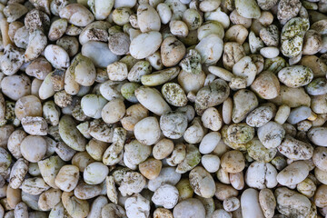 Small stone texture for background. High quality photo