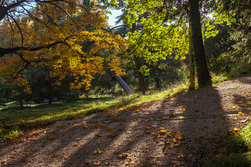 Obraz premium paysage automnal