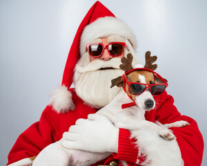Santa claus and santa's helper in sunglasses on a white background. Jack russell terrier dog in a deer costume.