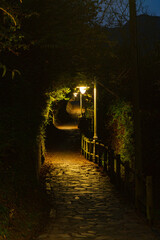 Ribadesella - council of the principality of Asturias - Spain