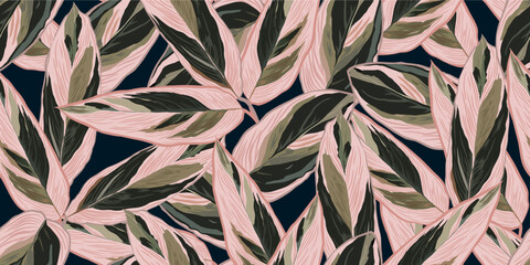 Luxury realistic and nature green background vector. Tropical leaves seamless pattern. Stromanthe triostar. design for interior design, Background, fashion, fabric, wallpaper, gift paper, and textiles