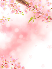 桜の枝と桜舞うピンクの背景フレーム（縦）
