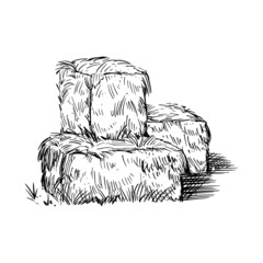 Hay bale farm drawing sketch. Hand drawn haystack. Isolated vector illustration. © Polina Tomtosova
