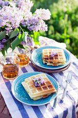 breakfast in the garden
