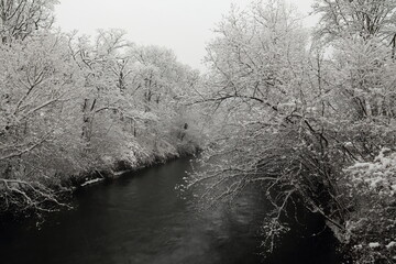Winter fairy tale black and white snowy landscape. Snow-covered trees on a river shore.