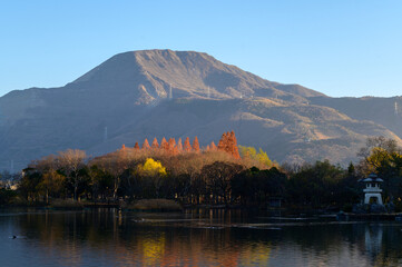 Fototapeta premium 伊吹山,真冬,積雪,三島池,寒い,厳しい