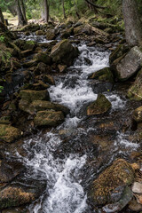 Stream in Carpathian forest