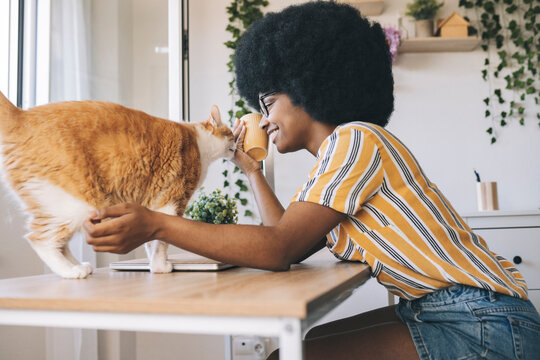 Afro woman playing with cat on desk at home