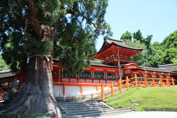Nara, Jap&oacute;n, es una de las ciudades mas tradicionales de Jap&oacute;n, con innumerables templos y santuarios.