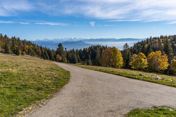 route de montagne avec vue sur les Alpes