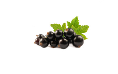 Black berries on white. Blackcurrants isolated on white background. Blackcurrant isolate. Blackcurrants isolated on white background. Immunity system improvement.