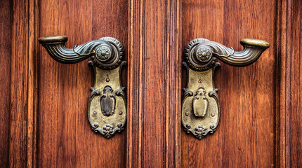 Antique Brass Door Handles. Mushroom door handle