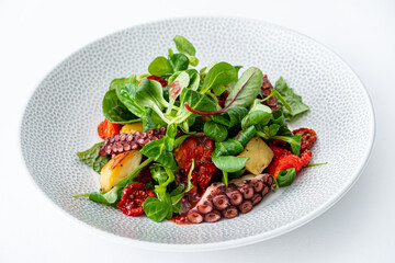 octopus salad on the white