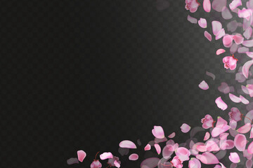 Pink falling sakura petals and flowers. Nature horizontal background
