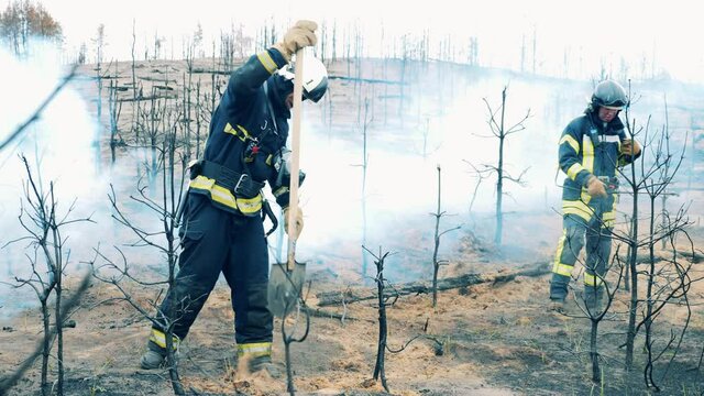 Male firefighters are extinguishing residual forest fire