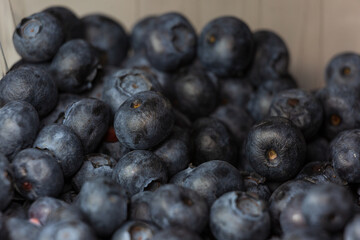 Closeup of blueberries on the table.