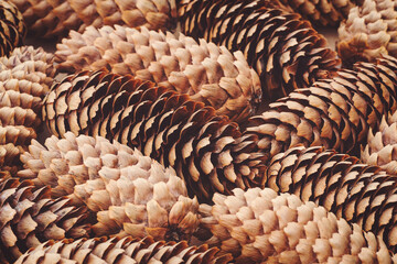 Fir cones natural background for Christmas designs