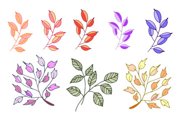 set of colored vector leaves
