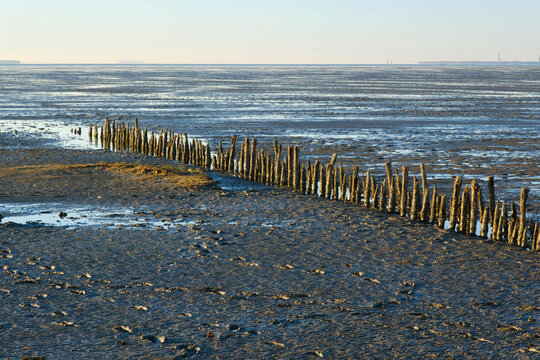 Groyne during low tide at Wadden Sea National Parks