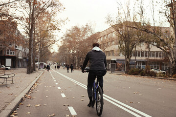 Man riding bicycle on lane in city, back view