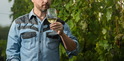 cropped enologist with wineglass. sommelier. farmer drink wine. cheers. vinedresser drinking.
