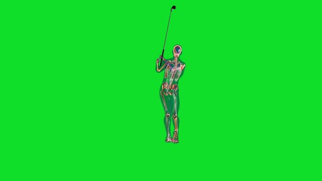 Human x-ray body and skeleton, Golf Hit, Camera Rotating, Green Screen