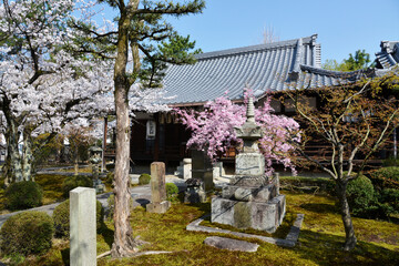 安楽寿院　大師堂　京都市伏見区竹田