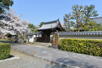 Obraz premium 安楽寿院 山門 京都市伏見区竹田