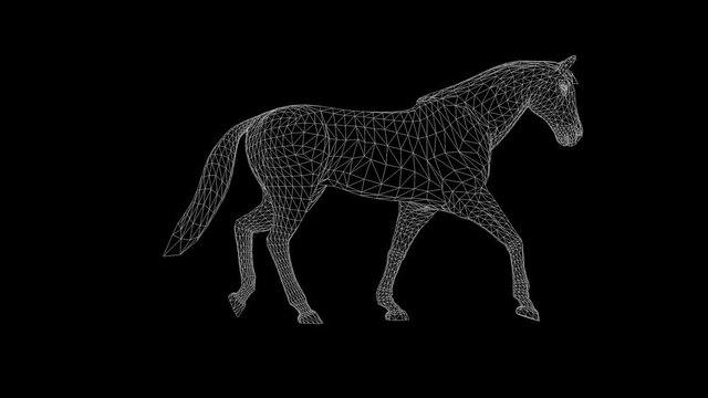 Wireframe 3d horse walk, seamless loop, against black