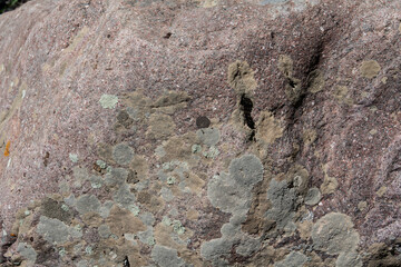 close-up of a stone in a forest with a natural texture. a small crack in the stone.  Closeup blurred stone background texture.
