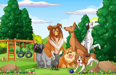 Scène de la nature du parc avec de nombreux chiens différents