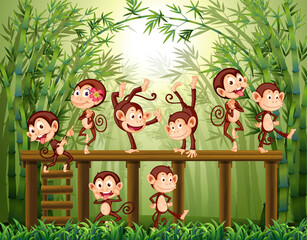 Kleine aapjes op bamboebos achtergrond