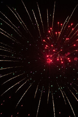 Beautiful fireworks on the black background.