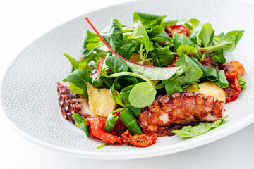 octopus salad on the white