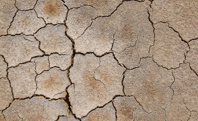 Ground cracked due to drought. Dry season causes the soil to dry and crack