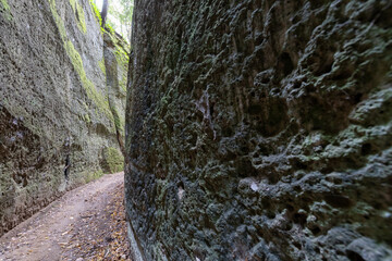 Via Cava Fratenuti, the Etruscan Vie Cave (roads dug into the tuff). Pitigliano, Tuff city in Tuscany. Italy