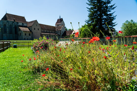 Blick in den Hortulus, den Urgarten der mitteleurop&auml;ischen Gartenkultur von Walahfried Strabo, am Kloster Mittelzell, Insel Reichenau, bodensee, UNESCO Welterbe