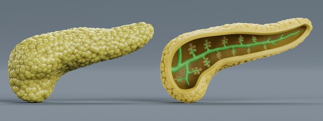 Realistic 3D Render of Pancreas