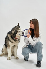 Woman play with circle puller toy with dog