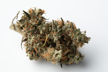 Close up of marijuana Medical Weed Growing Isolated Buds