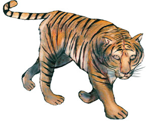 手書きのかっこいい虎