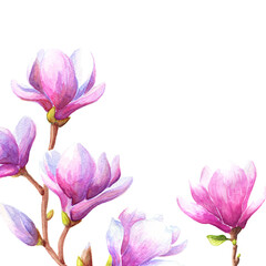 Hand drawn watercolor magnolia frame