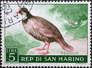 San Marino - circa 1960: A post stamp printed in San Marino showing a bird: Red-legged Partridge...