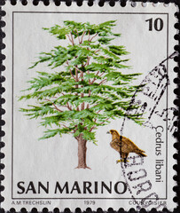 San Marino - circa 1979: A post stamp printed in San Marino showing a monumental tree: Golden Eagle...
