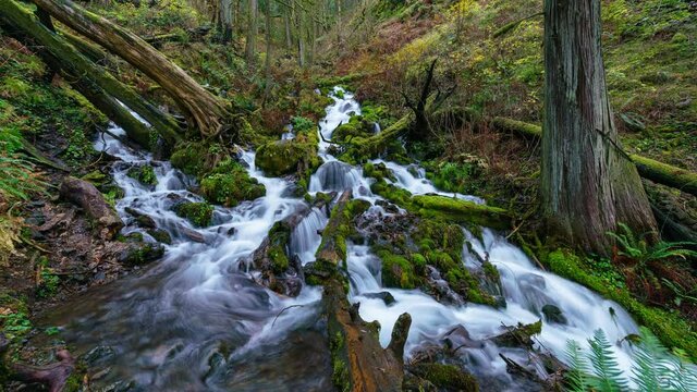 Time lapse tracking shot of Fairy Falls in Columbia River Gorge in Oregon